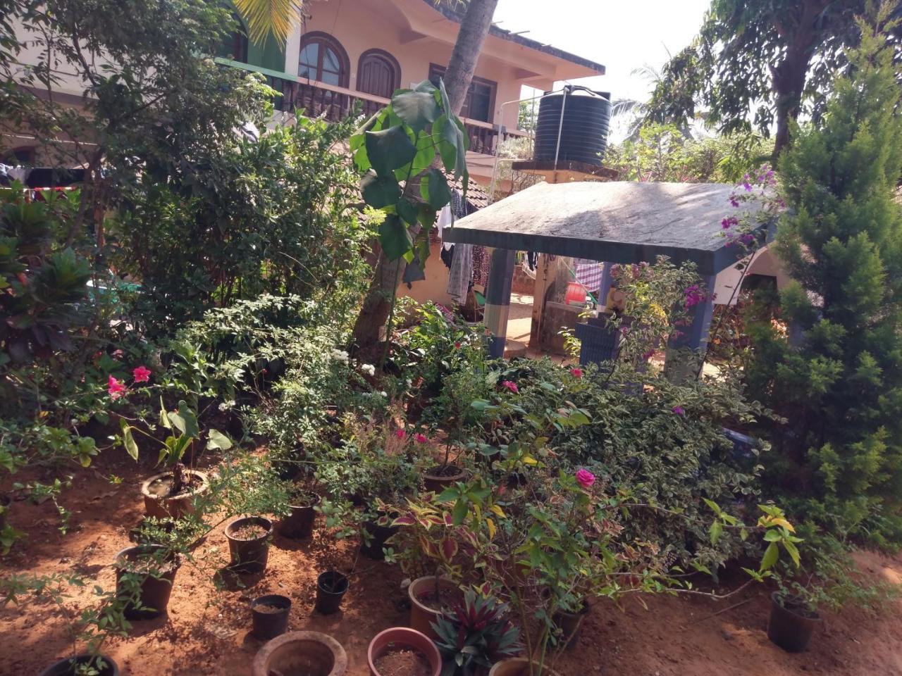 21In Guest House Calangute Exteriör bild